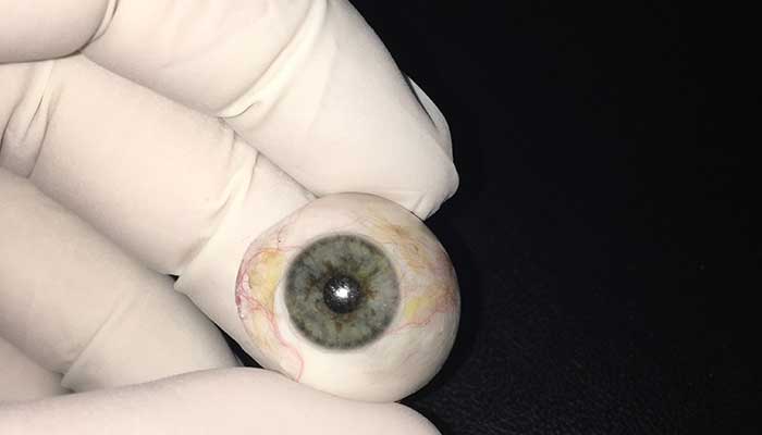 artificial eye
