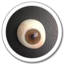 eye prosthesis icon