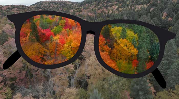 Color Vision Deficiency (Color Blindness)
